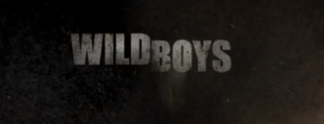 Wild Boys TV Series