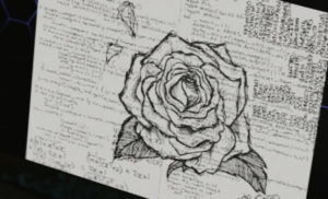 Rose Sketch Red Rose BBC