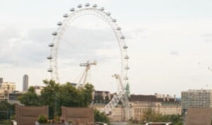 Ferris wheel Mammals Amazon