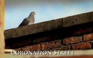 tv show coronation street 2024 spoilers